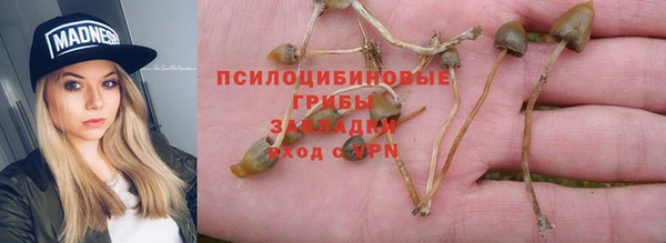 тгк Верхний Тагил