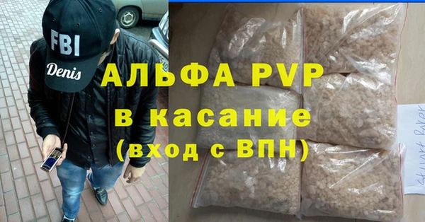 PSILOCYBIN Верея