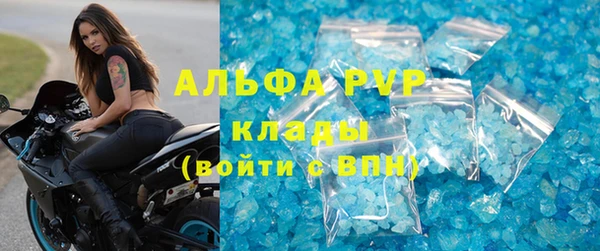 PSILOCYBIN Верея