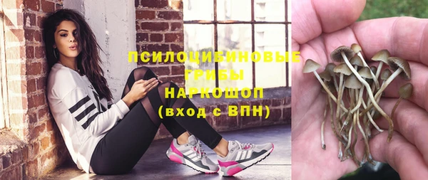 гидропоника Верхнеуральск