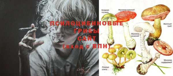 PSILOCYBIN Верея
