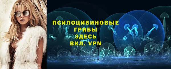 PSILOCYBIN Верея