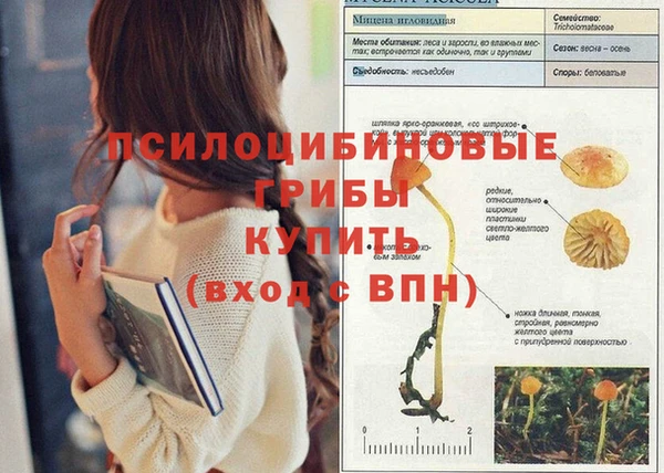 тгк Верхний Тагил