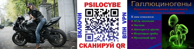 MEGA ссылка  Раменское  Псилоцибиновые грибы мицелий 