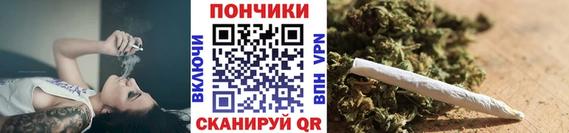 дарнет шоп  Раменское  Каннабис план 